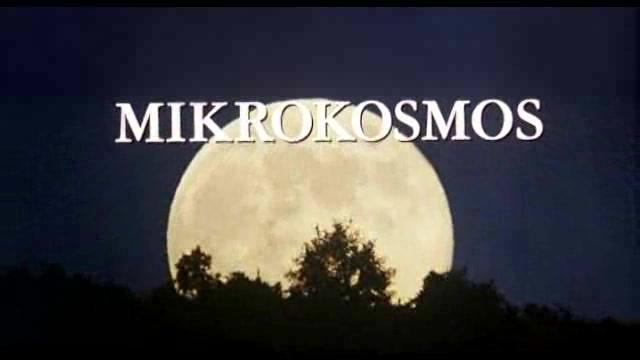 Mikrokosmos - Trailer - Deutsch