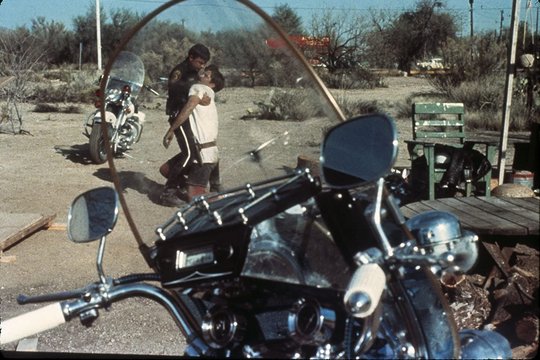 Electra Glide in Blue - Harley Davidson 344 - Szenenbild 4