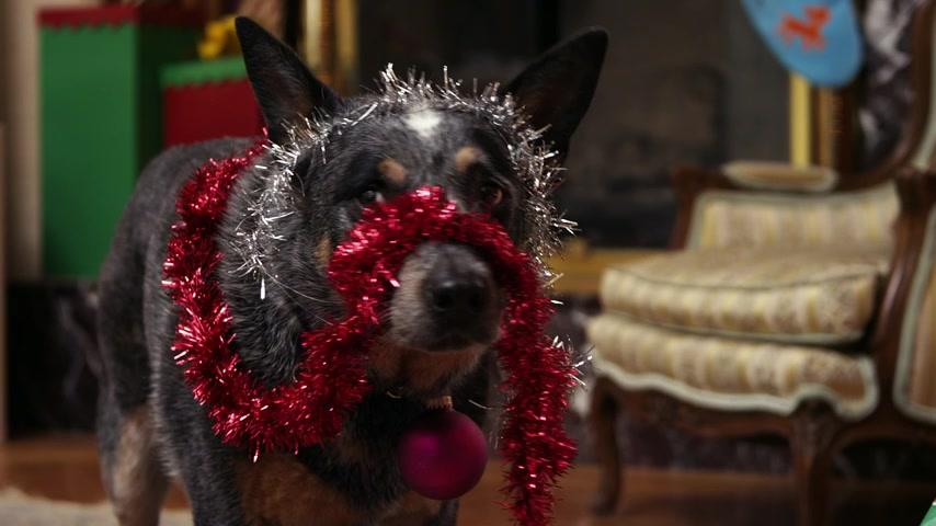 Bone - Allein zu Haus - Trailer - Deutsch - SD