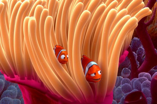 Findet Nemo - Szenenbild 7