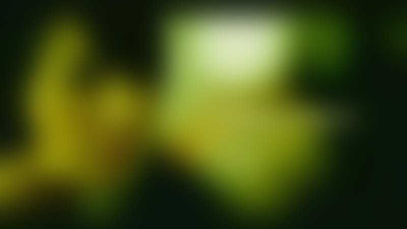 Killer Instinct - Tödliche Tarnung - Trailer - Deutsch - SD