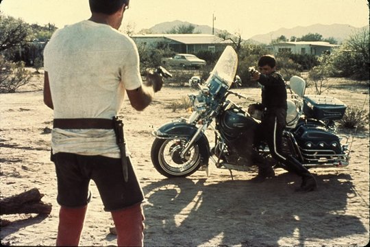 Electra Glide in Blue - Harley Davidson 344 - Szenenbild 5