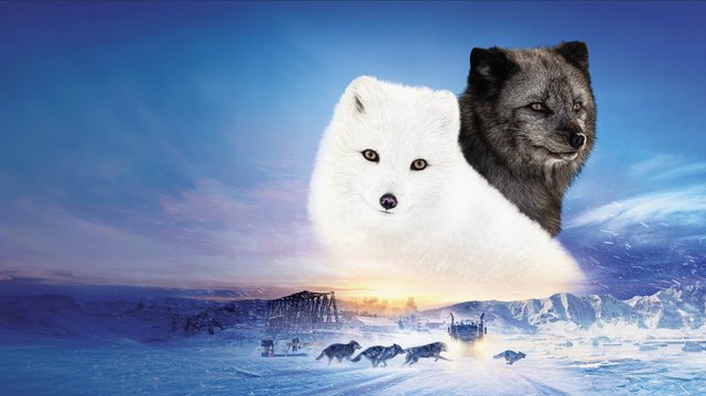 Die Abenteuer von Kina & Yuk - Wallpaper 1