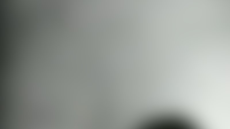 Die Fliege - Trailer - Japanisch - SD