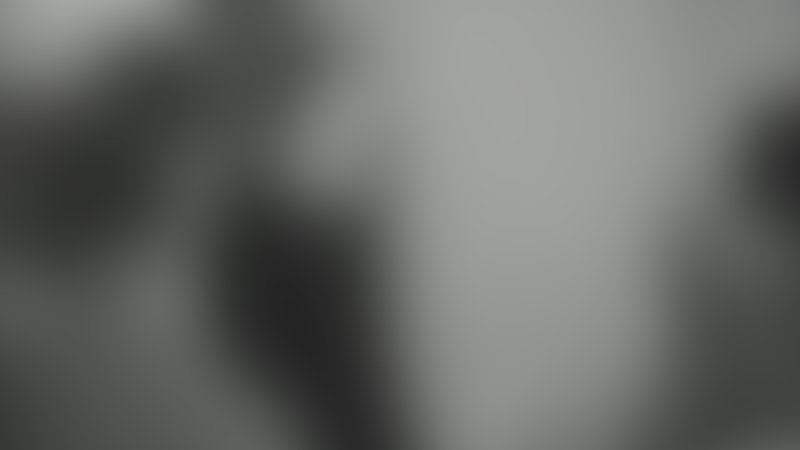 Mann beißt Hund - Teaser - Französisch - SD