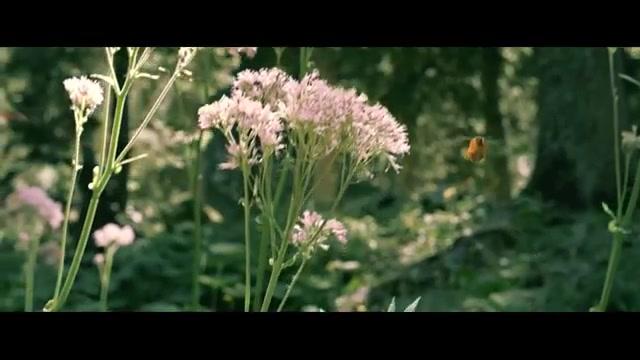 Die Winzlinge - Operation Zuckerdose - Teaser - Deutsch - SD