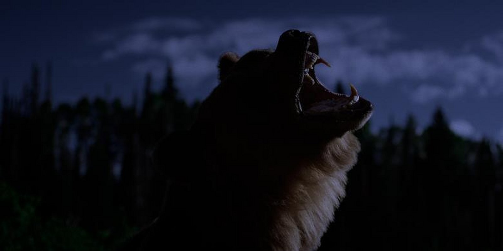 No Escape - Grizzly Night