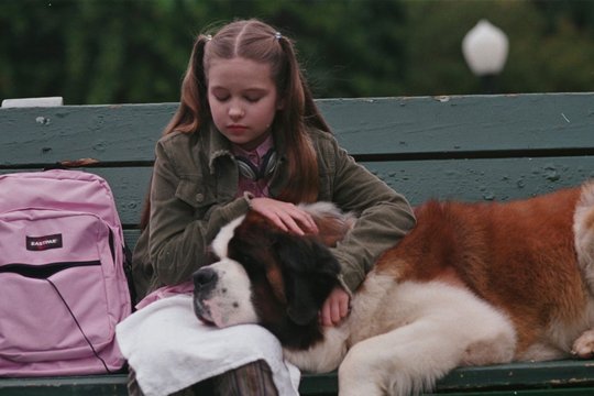Beethoven 5 - Beethoven auf Schatzsuche - Szenenbild 1