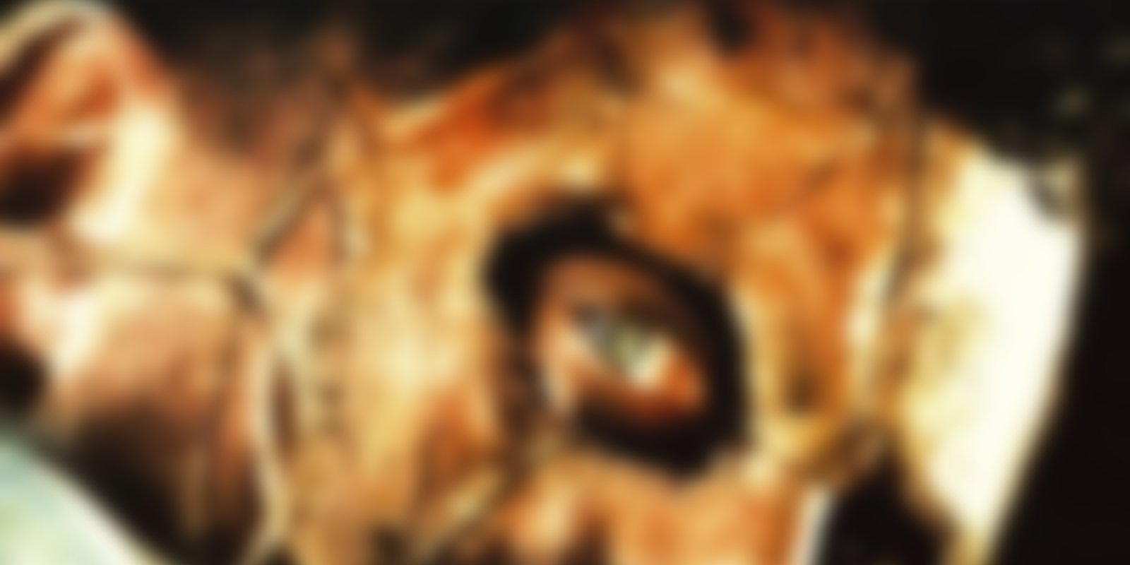 Ed Gein - Der wahre Hannibal Lecter