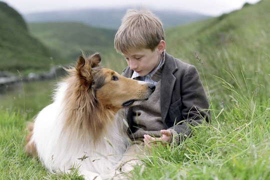 Lassie kehrt zurück - Szenenbild 4