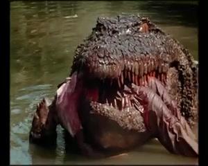 Der Mörder-Alligator - Trailer - Deutsch - SD