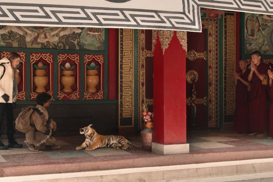 Die Legende vom Tigernest - Szenenbild 4