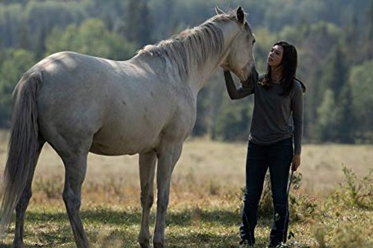 Heartland - Paradies für Pferde - Staffel 12 - Szenenbild 3