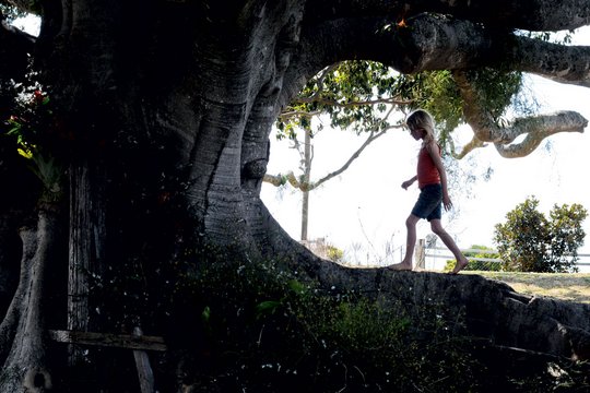 The Tree - Szenenbild 10