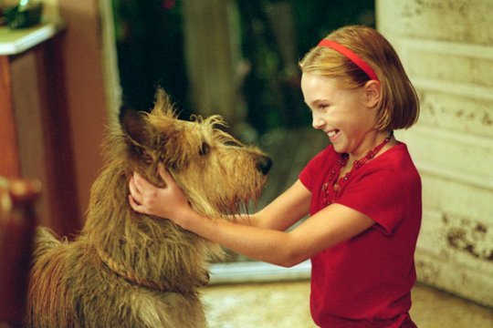 Winn-Dixie - Mein zotteliger Freund - Szenenbild 2
