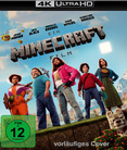 Ein Minecraft Film