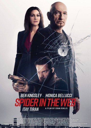 Spider in the Web - Poster 1