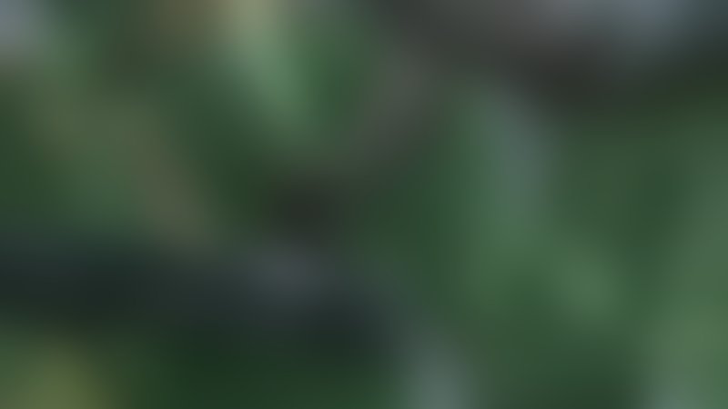 Karate Tiger 6 - King of the Kickboxers - Trailer - Deutsch - SD