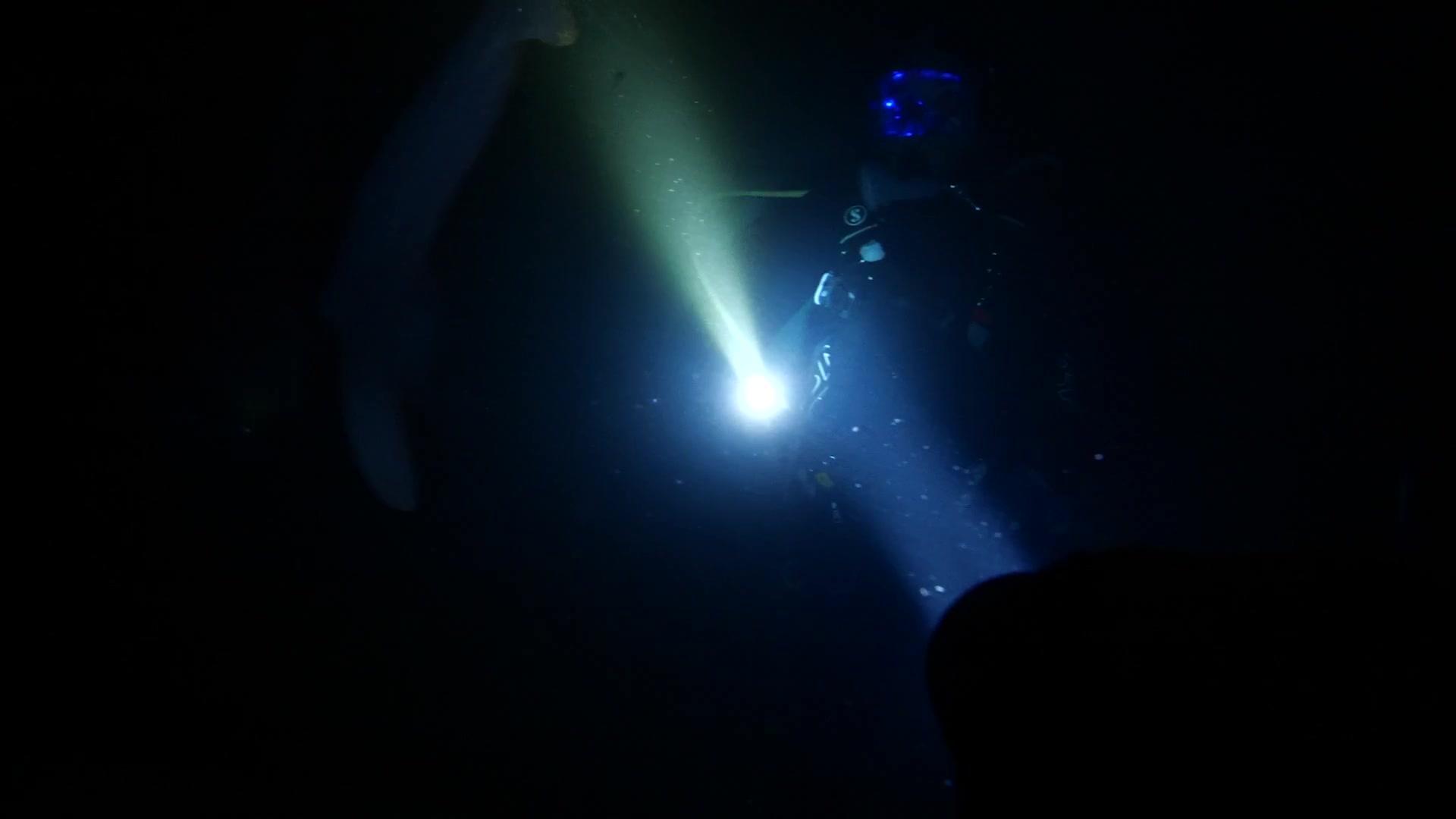 Blueback - Trailer - Deutsch - HD