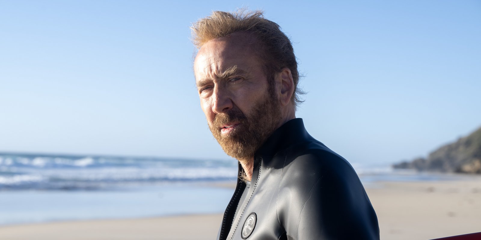 The Surfer