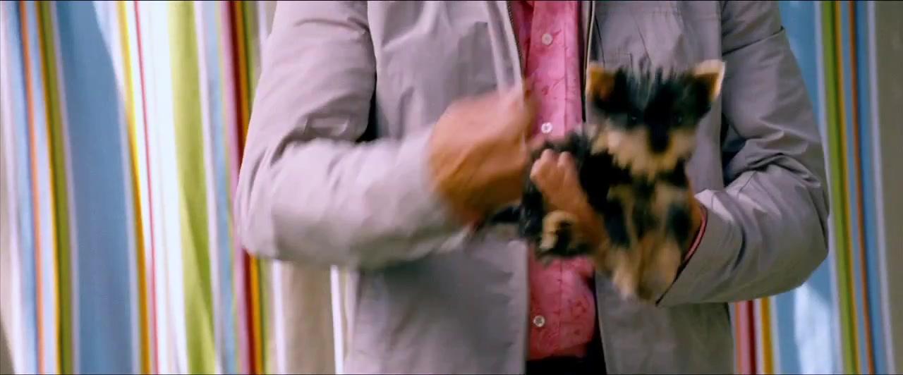 Der unglaubliche Burt Wonderstone - Trailer - Englisch - SD