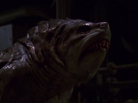 Creature Tod Aus Der Tiefe Online Gucken Creature Tod Aus Der Tiefe Online Gucken
