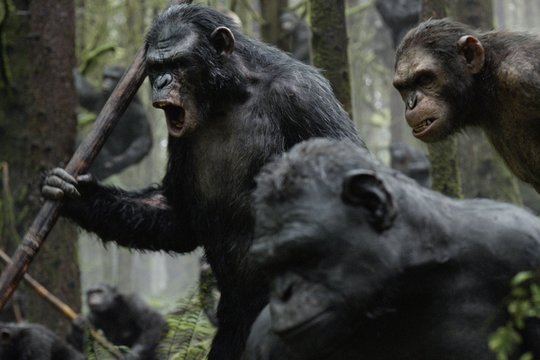 Der Planet der Affen 2 - Revolution - Szenenbild 8