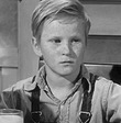 Steve Condit