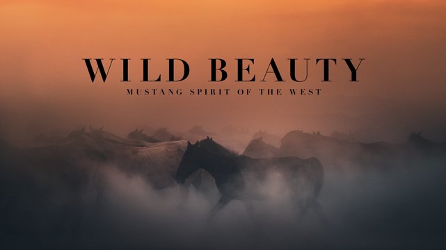Free Spirit - Mustangs in Gefahr - Wallpaper 1