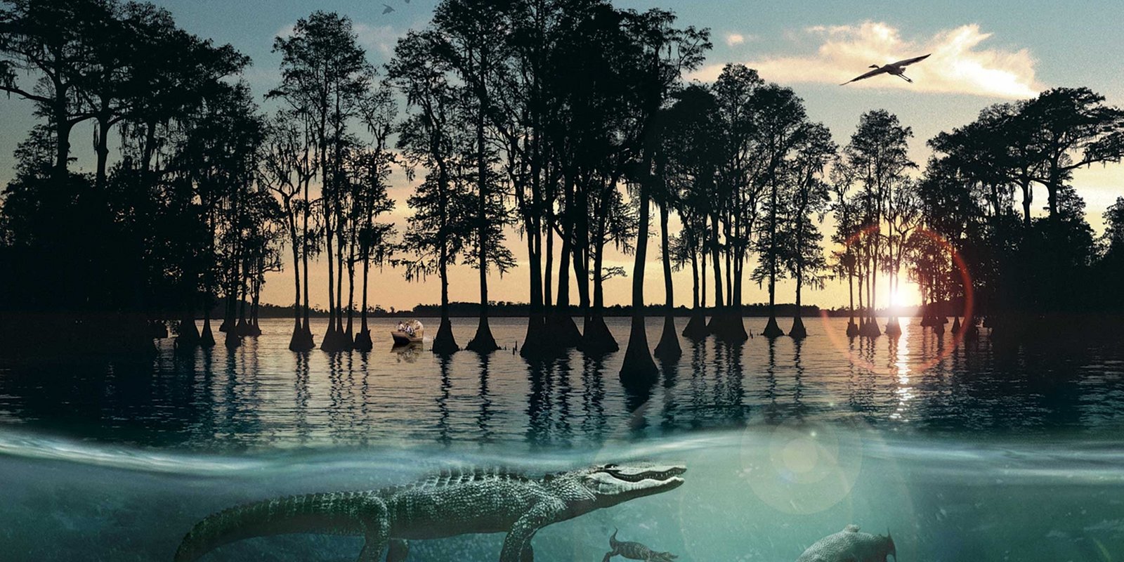 IMAX - Hurrikan über Louisiana