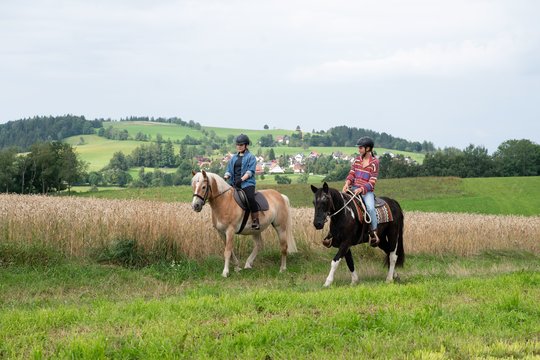 Tiere bis unters Dach - Staffel 11 - Szenenbild 4