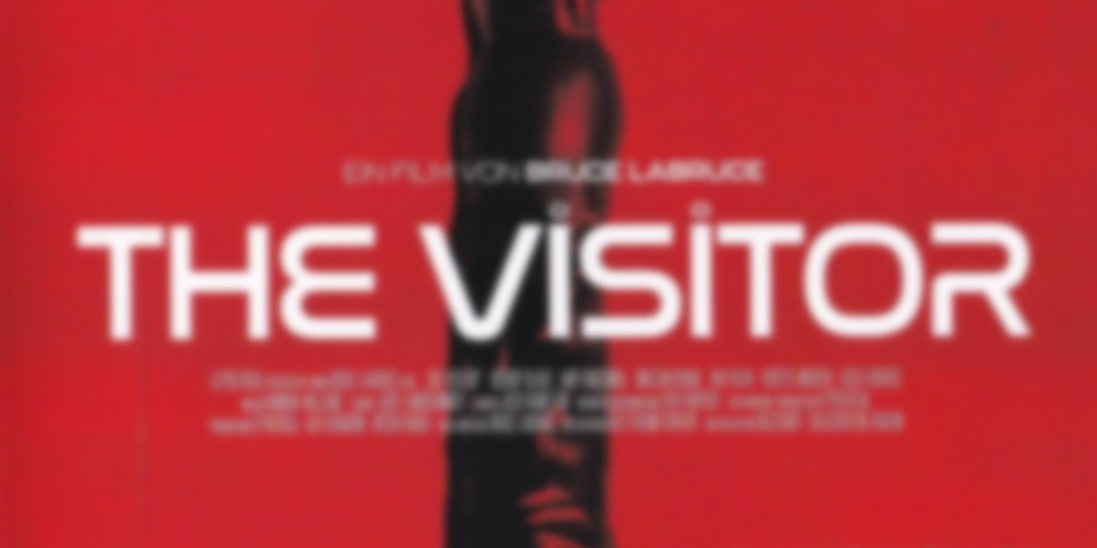 The Visitor