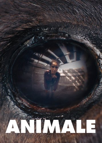 Animale - Poster 3