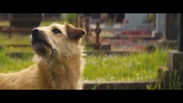 Rosie & Frank - Trailer - Deutsch - SD