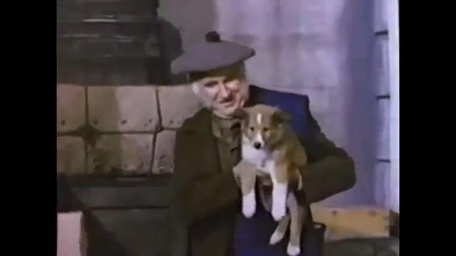 Lassie in Not - Trailer - Englisch