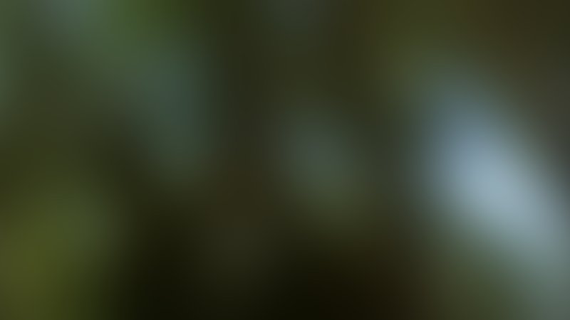 Wounded - Trailer - Englisch - SD