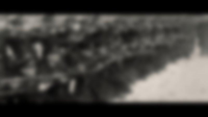 Bad Luck Banging or Loony Porn - Trailer - Englisch - HD