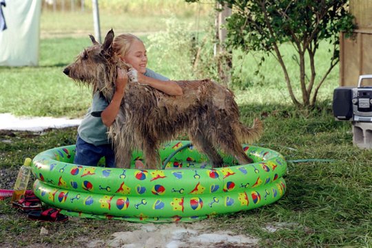 Winn-Dixie - Mein zotteliger Freund - Szenenbild 9