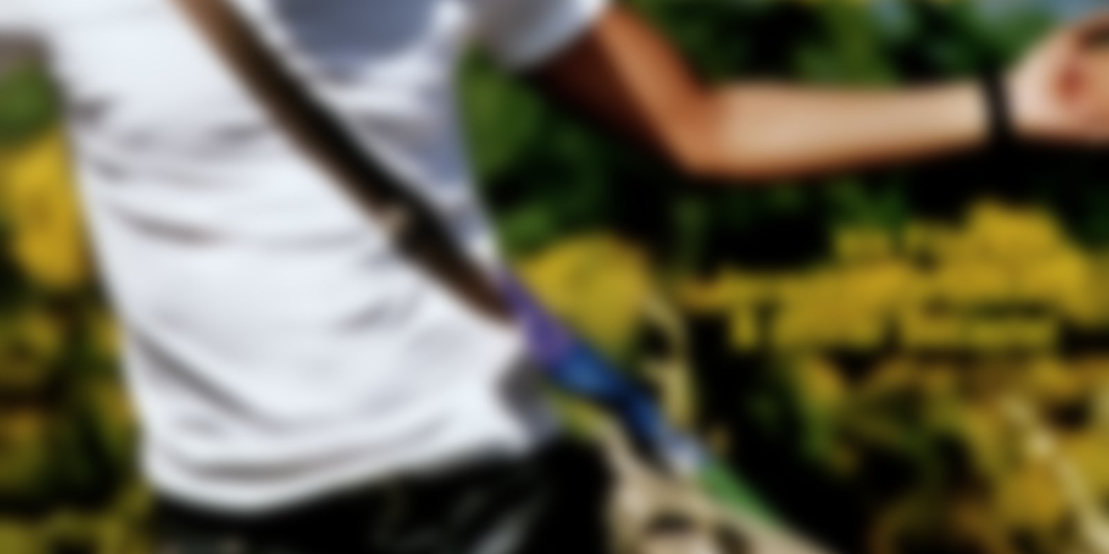 Felix DVD oder Bluray leihen VIDEOBUSTER