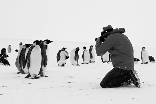 Rückkehr zum Land der Pinguine - Szenenbild 6