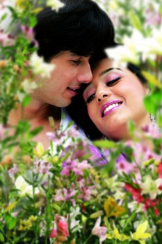 Vivah Mein Herz Bleibt Dir Treu Stream Deutsch Vivah Mein Herz Bleibt Dir Treu Stream Deutsch