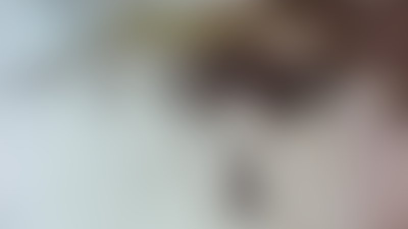 Die Nacht des Leguan - Trailer - Deutsch - SD