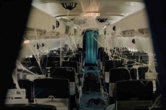 Spiders on a Plane - Szenenbild 1