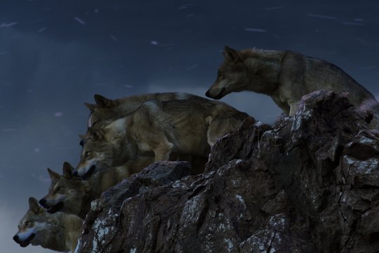Der letzte Wolf - Szenenbild 13