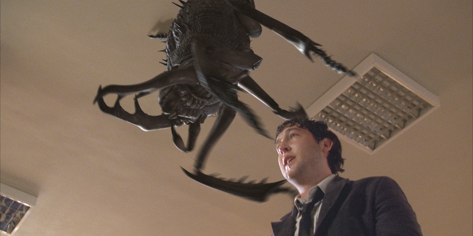 Infestation