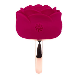 Rosen-Ring-Vibrator aus Silikon