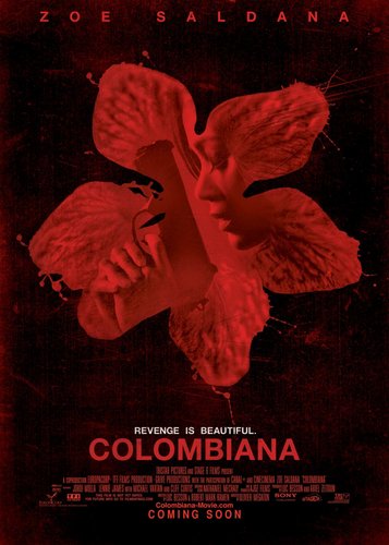 Colombiana - Poster 2