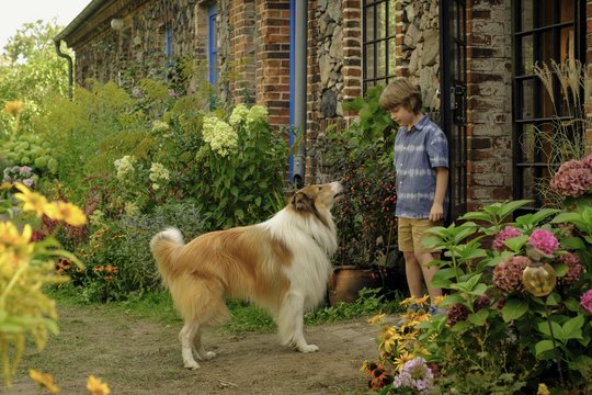 Lassie 2 - Ein neues Abenteuer - Szenenbild 29