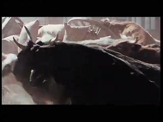 Western von gestern - Staffel 1 - Trailer - Deutsch - SD