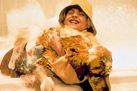 Air Bud - Champion auf vier Pfoten - Szenenbild 3